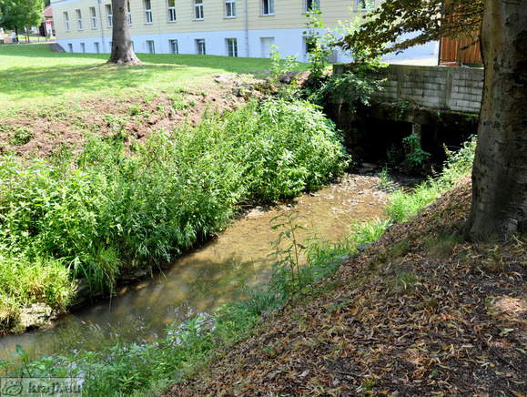 Locnica Stream at Hotel Slovenija