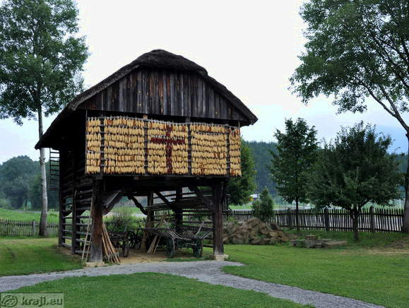 Muzej na prostem <br> Kozolec