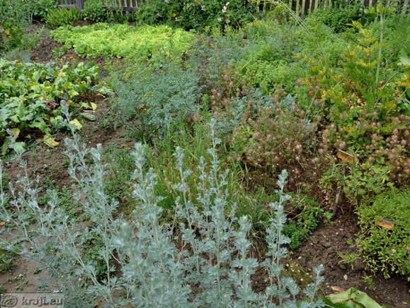 Freilichtmuseum - Schmit Haus