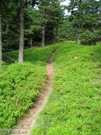 Höhenweg: Grmovsek Hütte-Ribniska Hütte