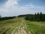Walking Trail: Grmovskov dom-Ribniska koca Mountain Hut - Planjava na poti med Grmovškovim domom in Ribniško kočo