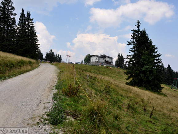 Road to the Ribniska koca Mountain Hut