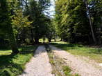 Trebnik Mansion - Path from the centre of Slovenske Konjice to Trebnik Mansion 