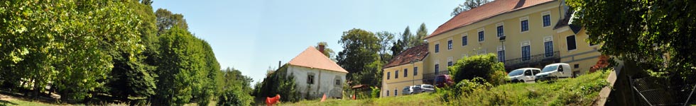 Slovenske Konjice - Burg Trebnik
