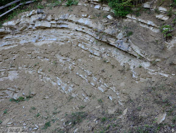 Mestinjska antiklinala