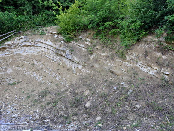 Antiklinala v Mestinju