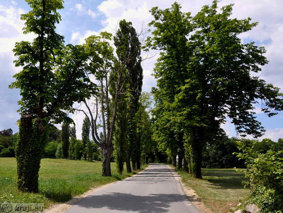Smarje in Jelsah - Schlosspark Jelsingrad