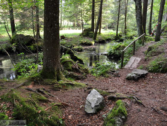 Zanimiva pot ob potoku Črna