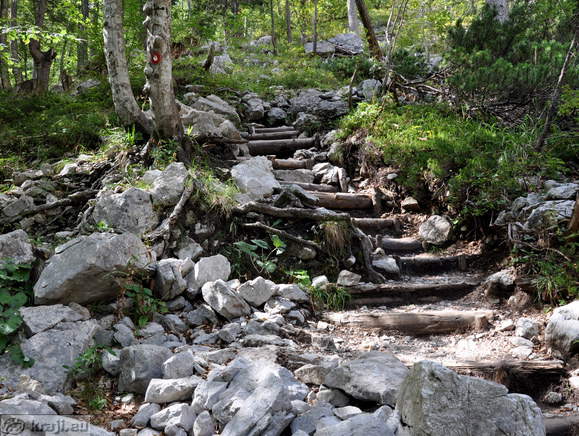 Vzpon proti Okrešlju in izviru Savinje