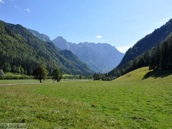 Logarjeva lipa v Logarski dolini
