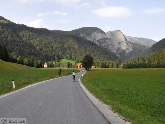 Logarjeva lipa ob cesti