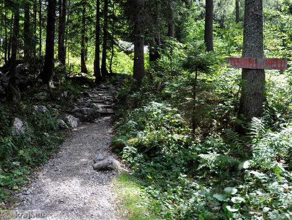 Zadnji del poti do koče na Okrešlju