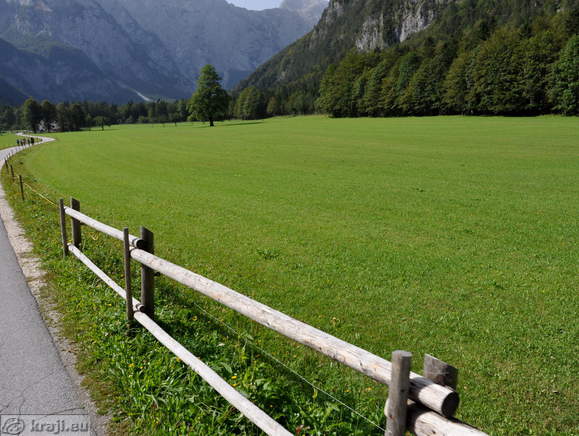 Logar Tal - Plesnik Ulme