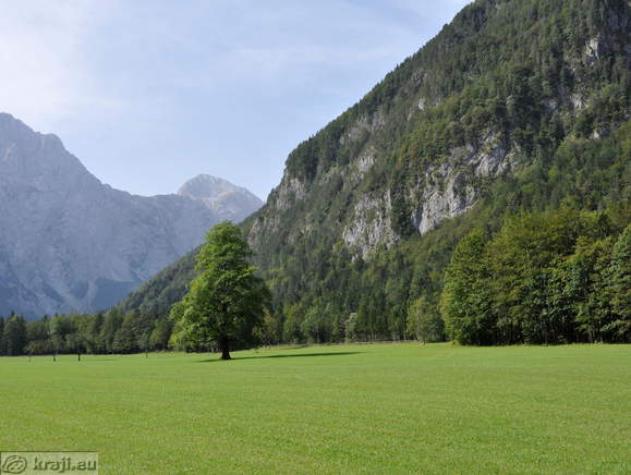 Logar Tal - Plesnik Ulme