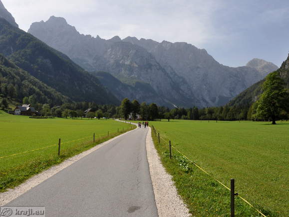 Logar Tal - Plesnik Ulme