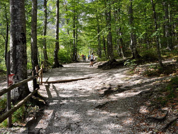 Footpath to Rinka Waterfall Footpath to Rinka Waterfall