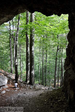 View from cave View from cave