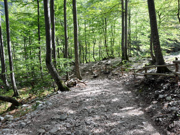 Path from parking area to Rinka Waterfall Path from parking area to Rinka Waterfall