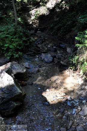 Brook at Iron water Spring