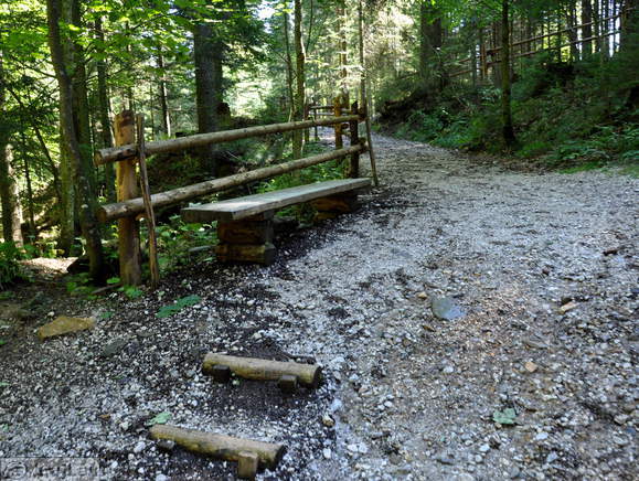 Bench at spring
