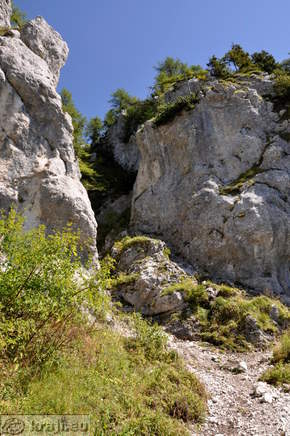 Pot od Potočke zijalke proti Olševi