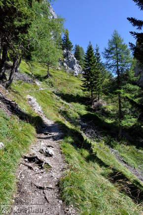 Peš pot proti Olševi