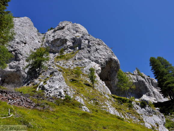 Pogled na Olševo