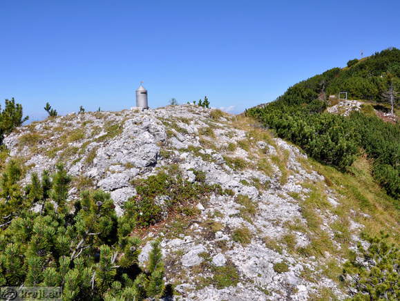 Obel kamen na Olševi