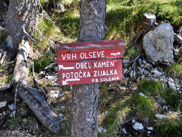 Usmerjevalna tabla za Obel kamen in vrh Olševe
