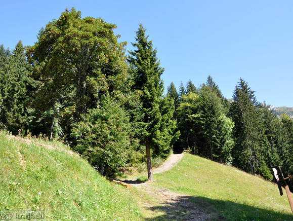 Path to Potocka zijalka Cave