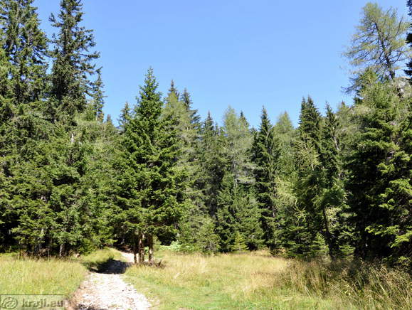 Path to Potocka zijalka Cave and Olseva