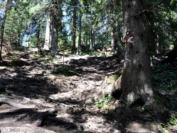 Path