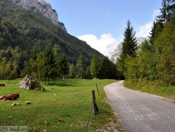 Cesta proti Robanovemu kotu