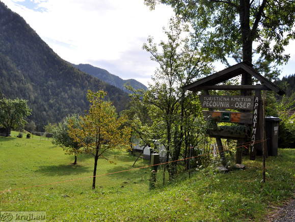 Turistična kmetija Pečovnik - Osep