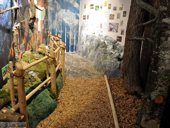 Solcava - Zentrum Rinka