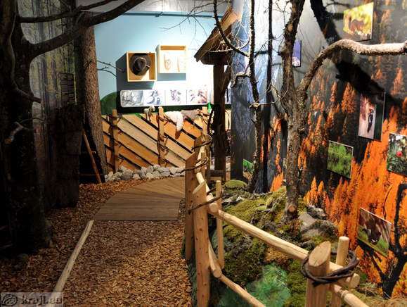 Solcava - Zentrum Rinka