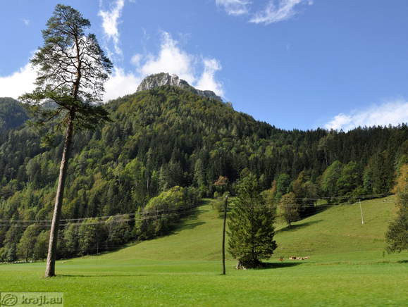 Travnik za sotesko Savinje