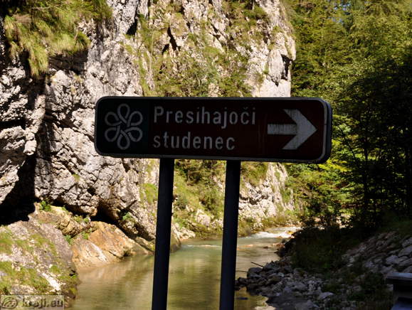 Usmerjevalna tabla Presihajoči studenec