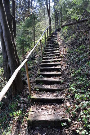 Footpath to the Sostanj Castle