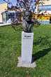 Memorial Park - Bust - Josip Vosnjak (1834 - 1911, doctor, writer and politician) 