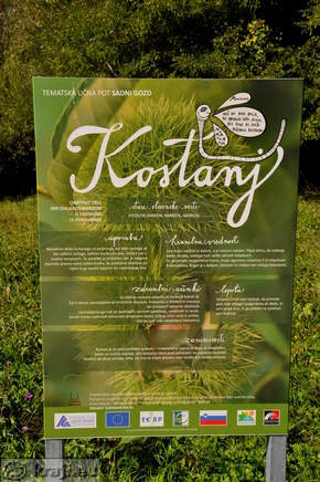 Velenje Seen - Obstwald Studiengang