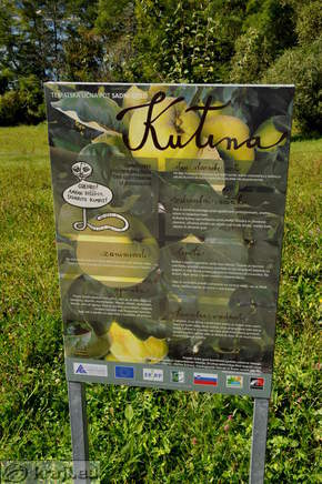 Velenje Seen - Obstwald Studiengang