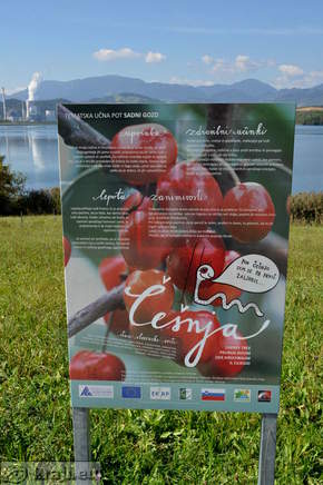 Velenje Seen - Obstwald Studiengang