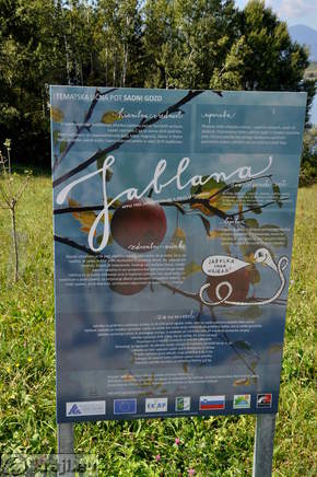 Velenje Seen - Obstwald Studiengang