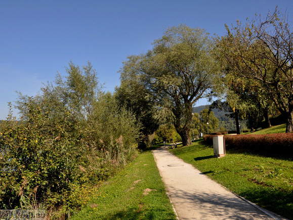 Pot ob Velenjskem jezeru