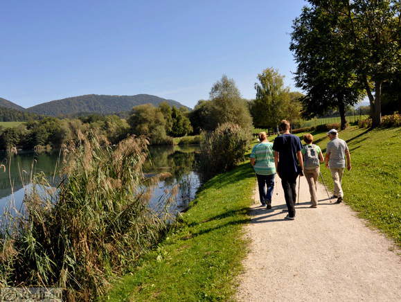 Sprehajalna pot ob Velenjskem jezeru