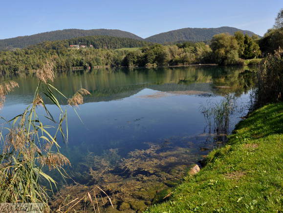 Velenjsko jezero