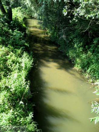 Potok, ki teče iz Škalskega jezera v Velenjsko jezero