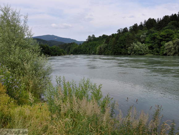 Muta - Zusammenfluss Mucka Bistrica und Drava
