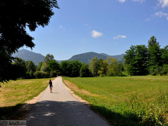 Cesta proti ribniku Vrbje